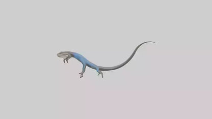 Skink darting model 3D model