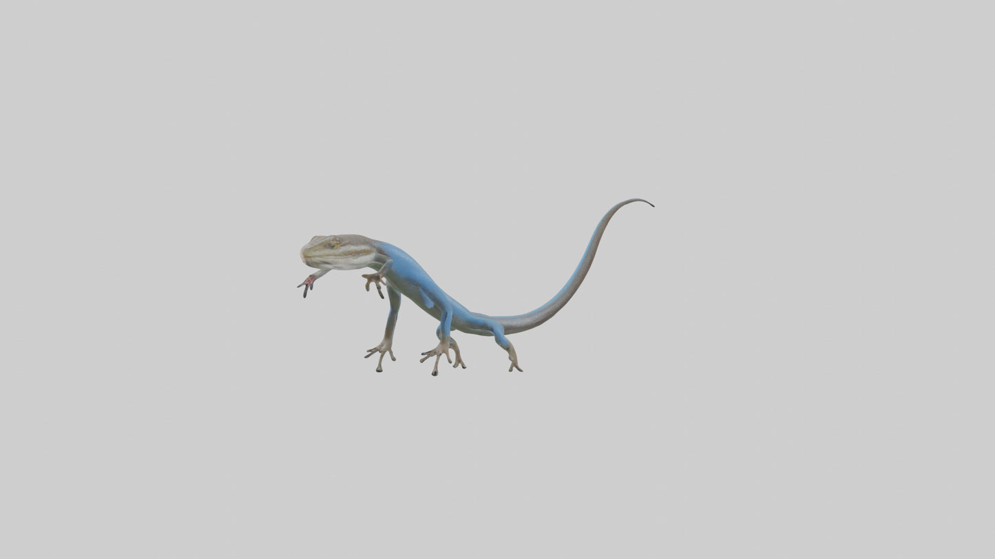 Skink darting model 3D model