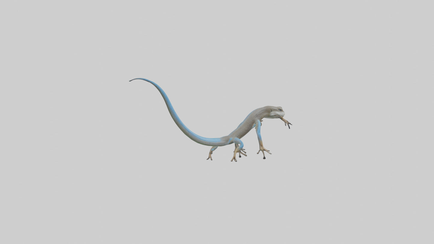 Skink darting model 3D model