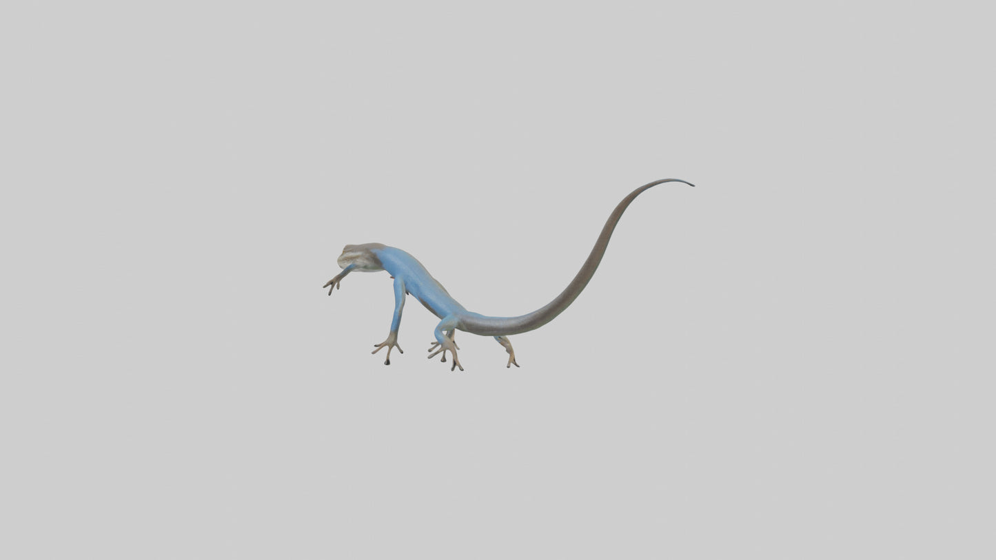 Skink darting model 3D model