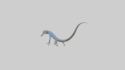 Skink darting model 3D model