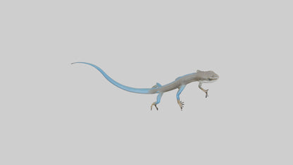 Skink darting model 3D model