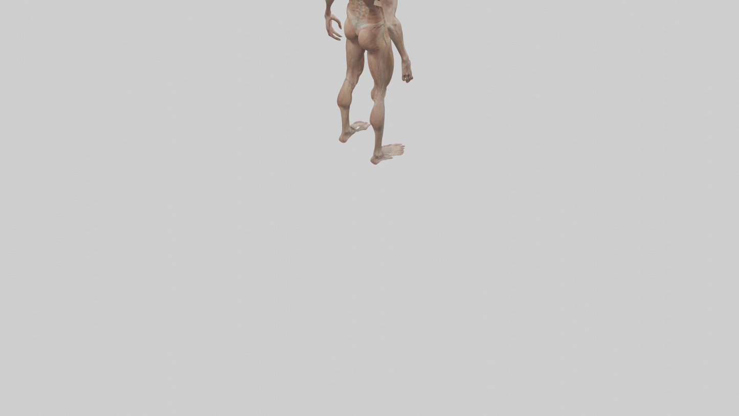 Skinless man model 3D model