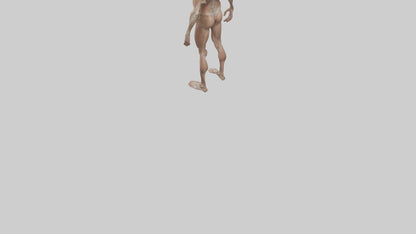 Skinless man model 3D model