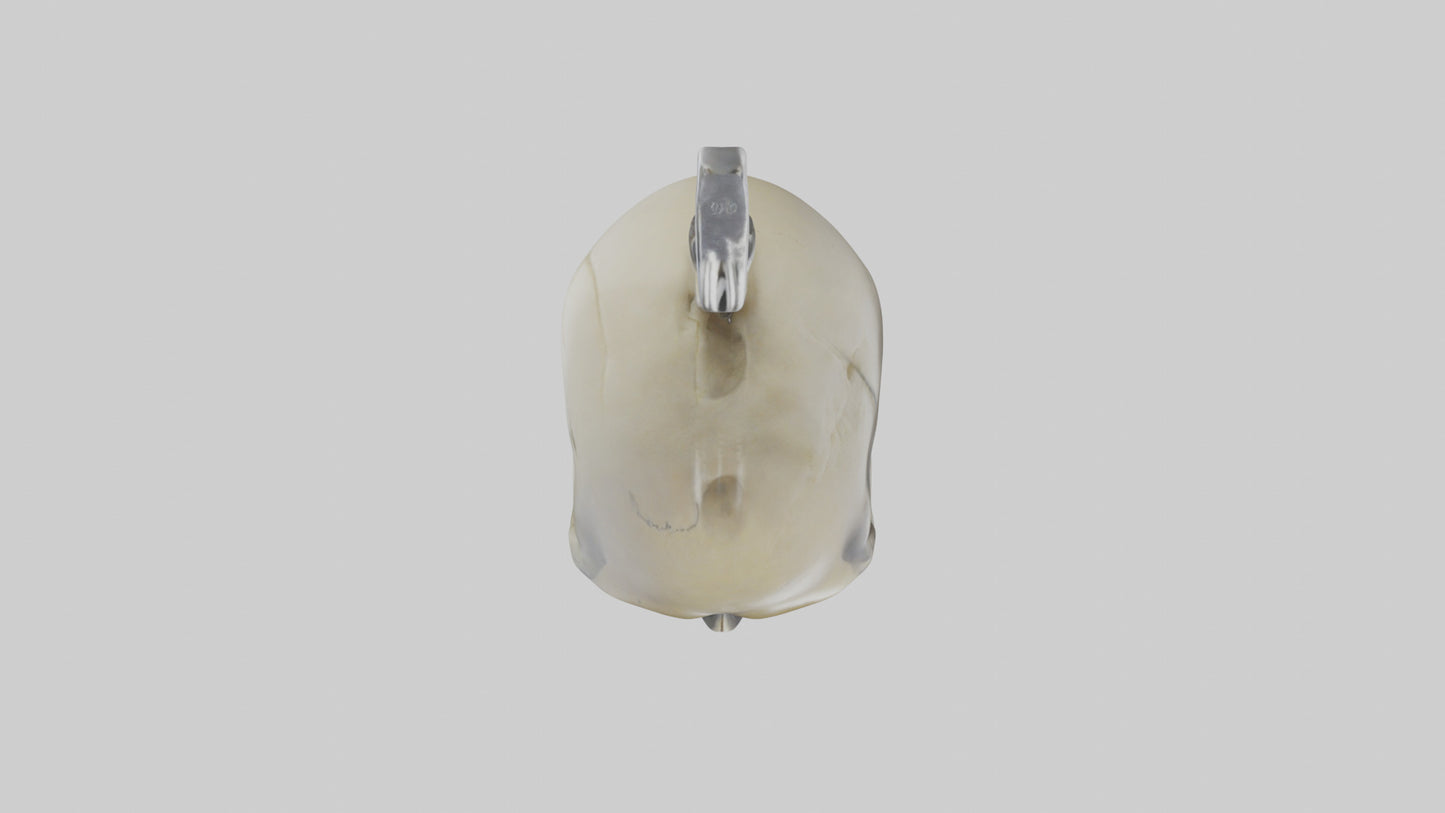 Skull head keychain model 3D model