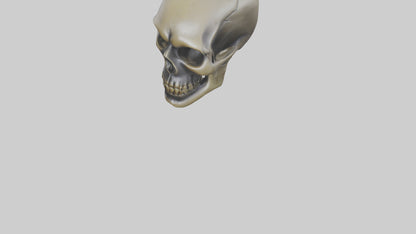 Skull head keychain model 3D model