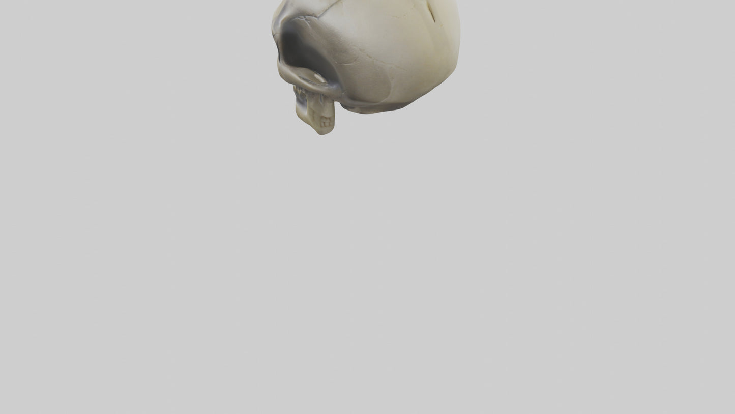 Skull head keychain model 3D model