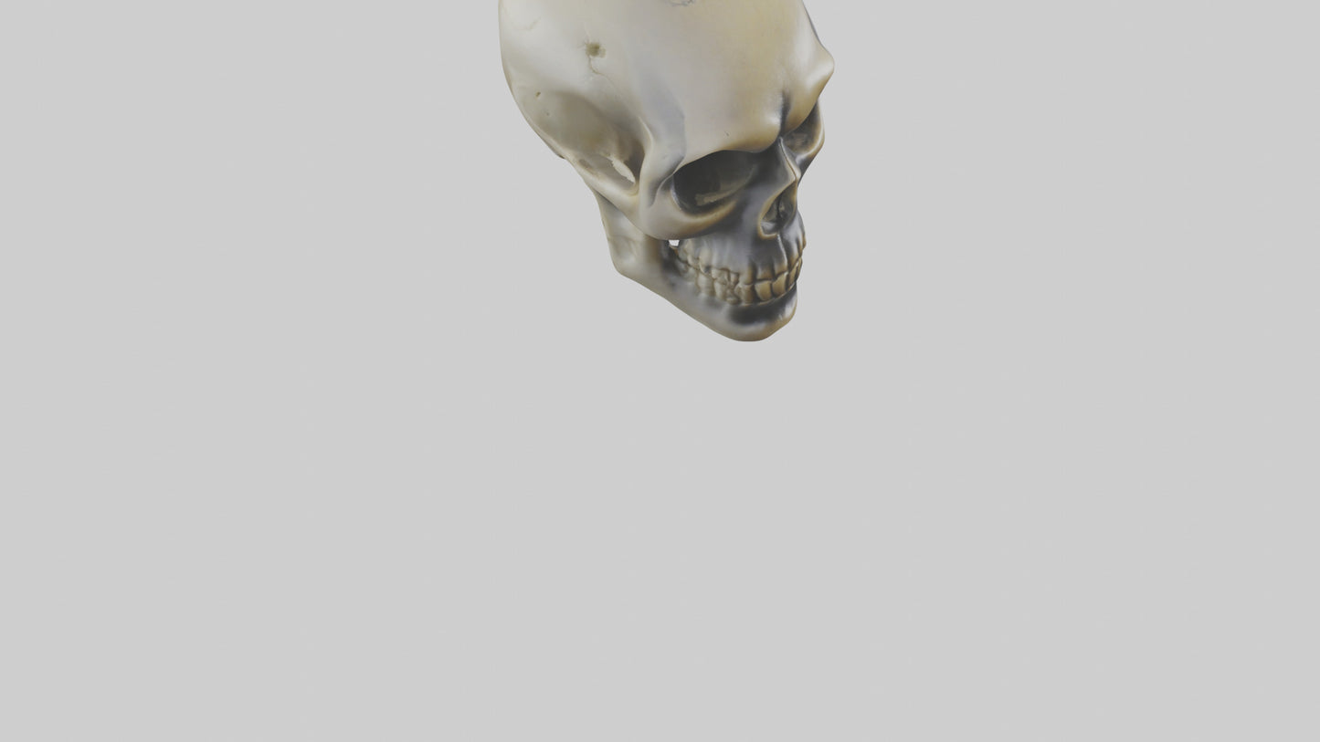 Skull head keychain model 3D model