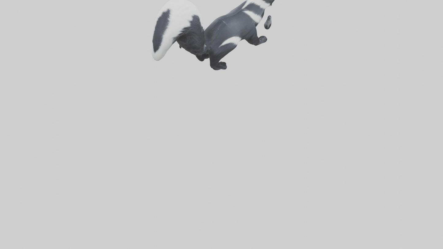 Skunk spraying model 3D model