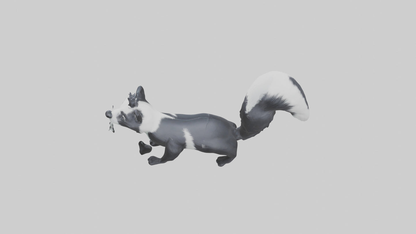 Skunk spraying model 3D model