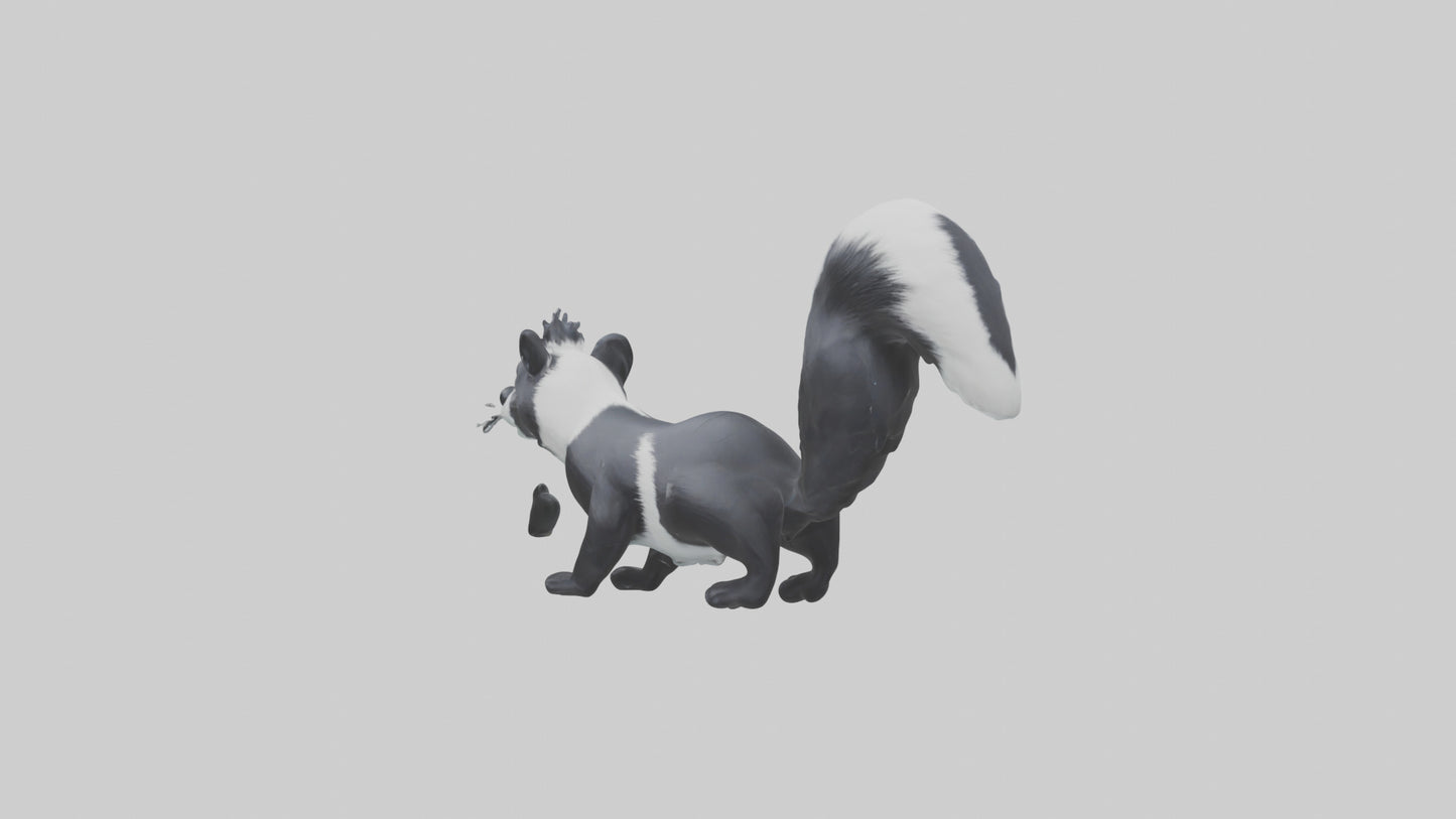 Skunk spraying model 3D model