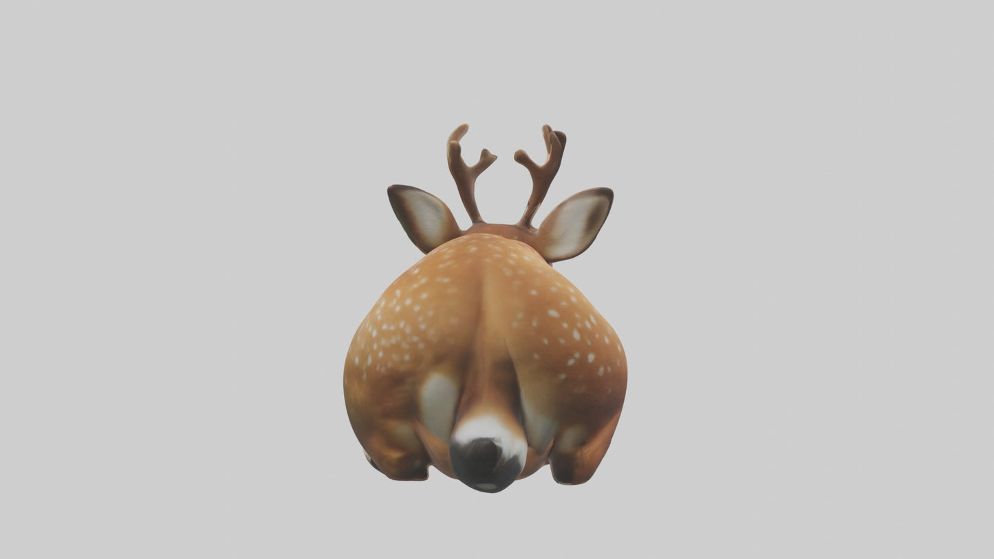 Sleeping Deer Model VR / AR / low-poly