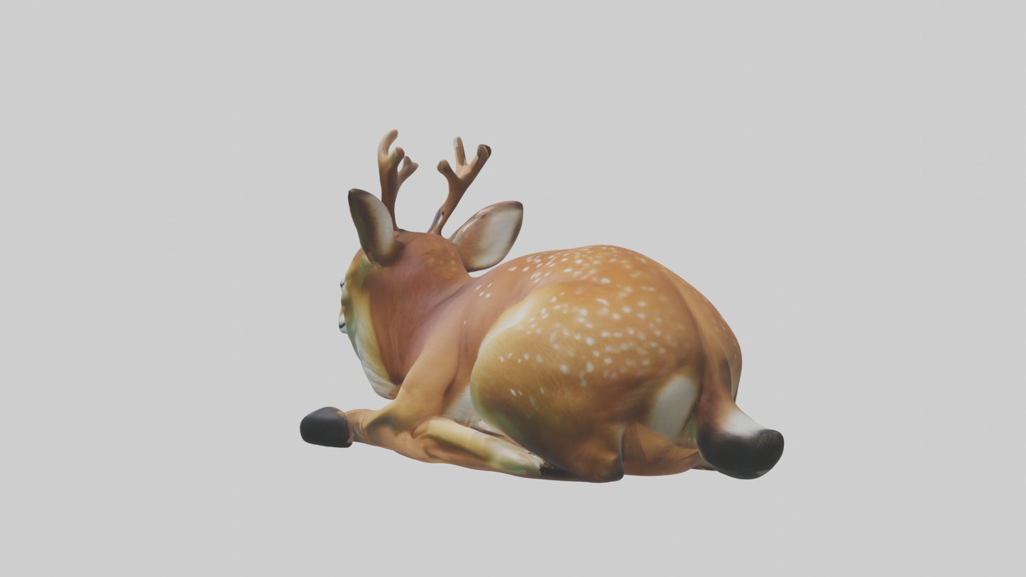 Sleeping Deer Model VR / AR / low-poly