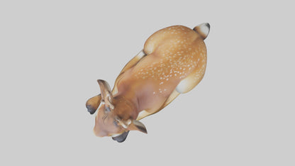 Sleeping Deer Model VR / AR / low-poly