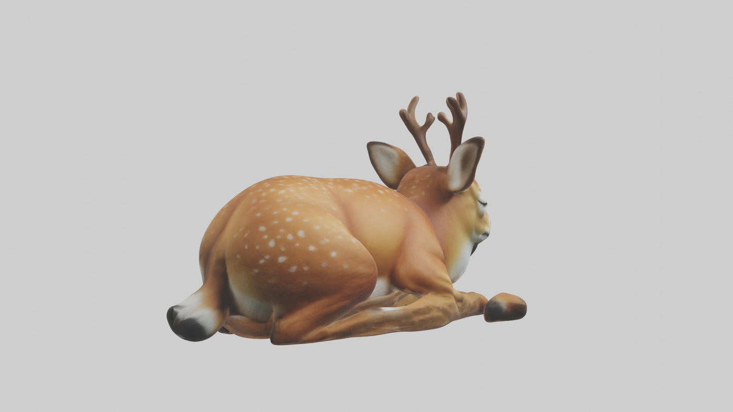 Sleeping Deer Model VR / AR / low-poly