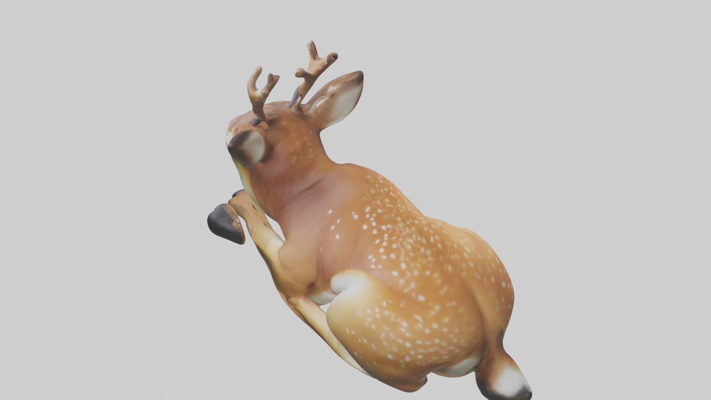 Sleeping Deer Model VR / AR / low-poly