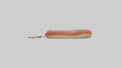 Slithering worm model 3D model