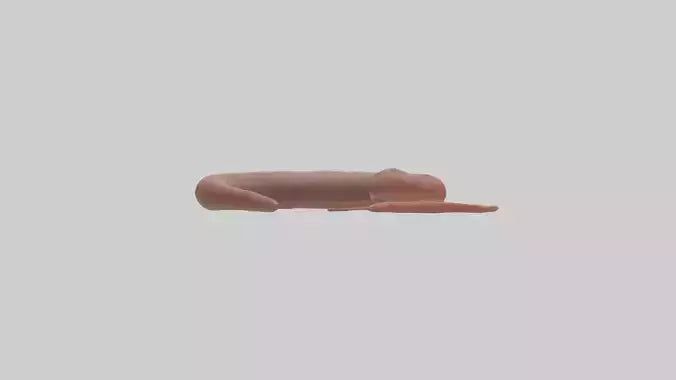 Slithering worm model 3D model