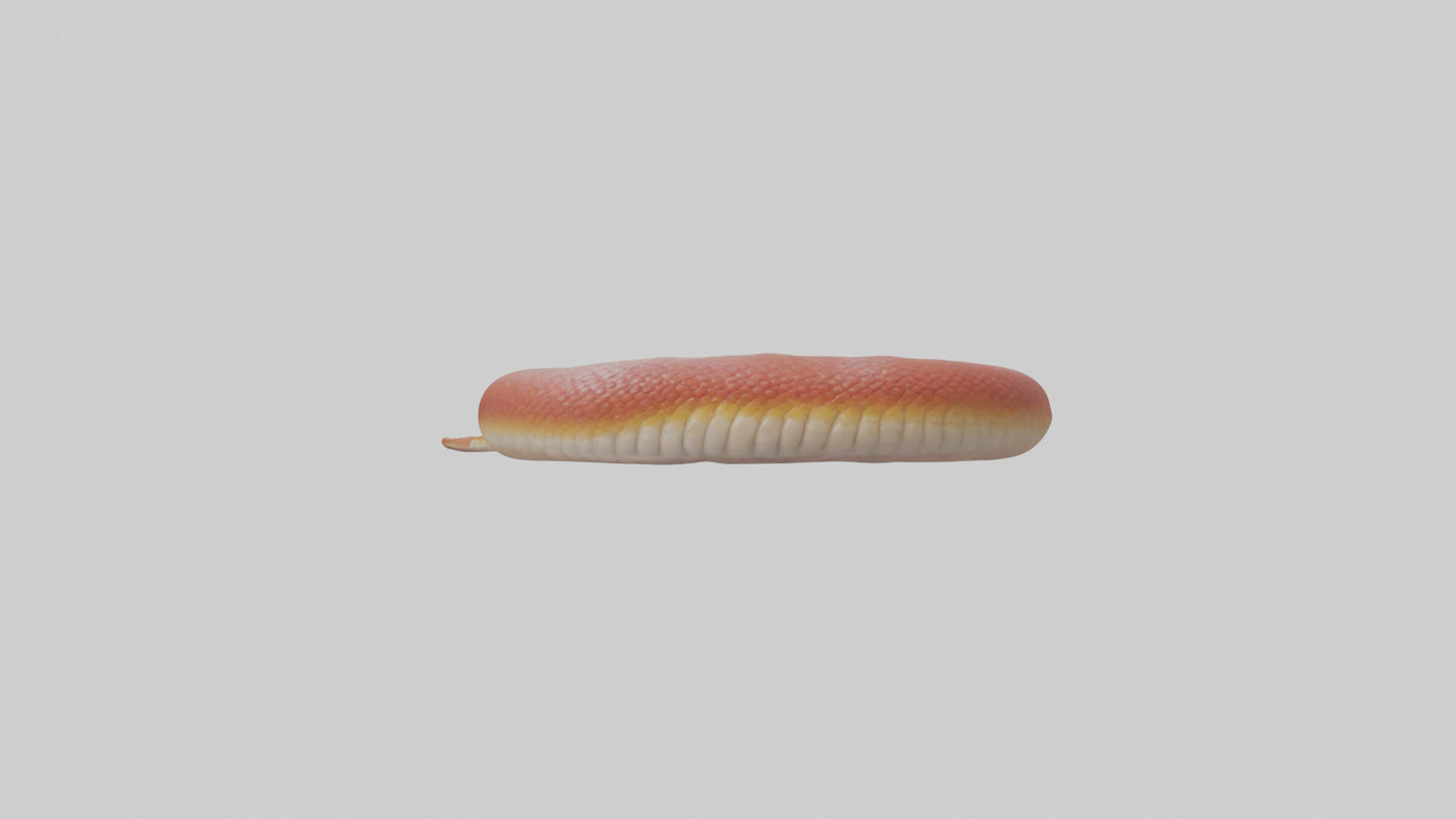 Slithering worm model 3D model
