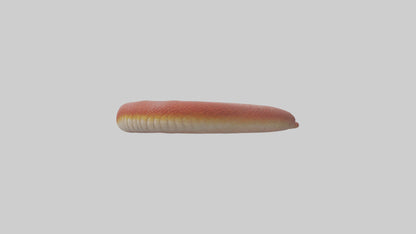 Slithering worm model 3D model