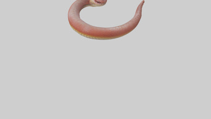 Slithering worm model 3D model