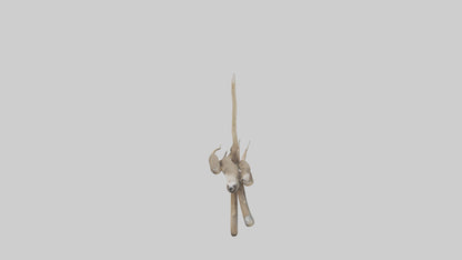 Sloth Claws Model 3D model