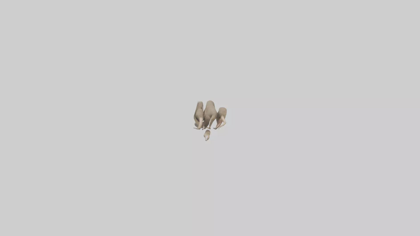 Sloth Claws Model 3D model
