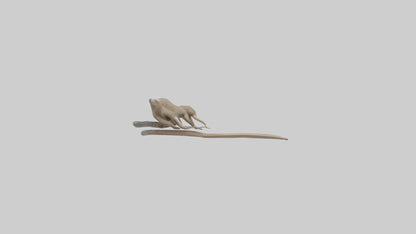 Sloth Claws Model 3D model