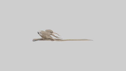 Sloth Claws Model 3D model