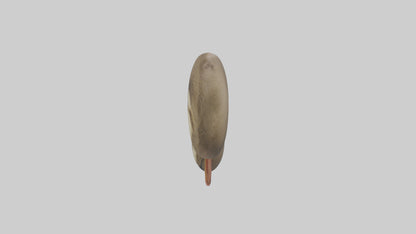 Sloth Kidneys 3D model