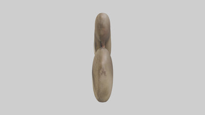 Sloth Kidneys 3D model