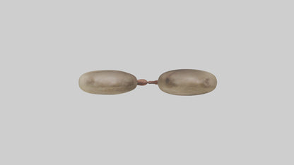 Sloth Kidneys 3D model