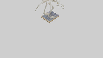 Sloth Skeleton model 3D model