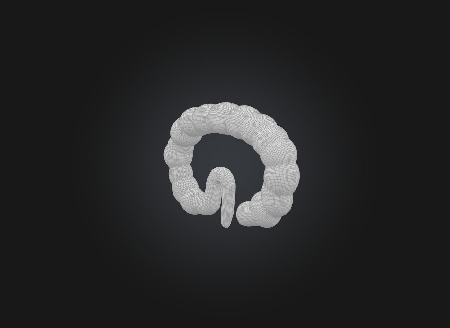 3D model small intestine VR / AR / low-poly