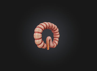 3D model small intestine VR / AR / low-poly