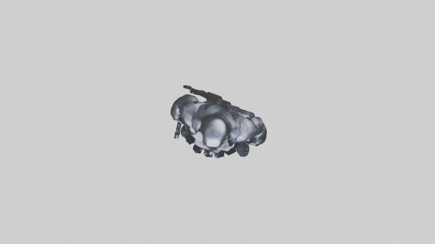 Snake Eyes 3D model