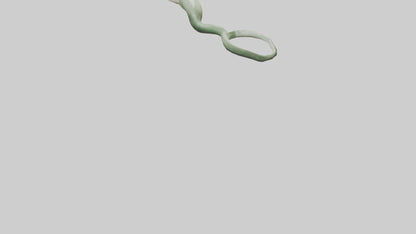 Snake Tongue Model 3D model