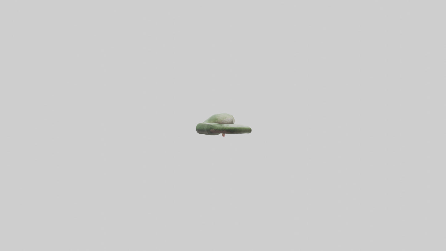 Snake Tongue Model 3D model
