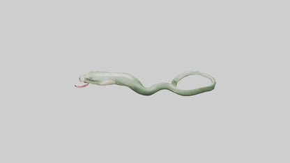 Snake Tongue Model 3D model