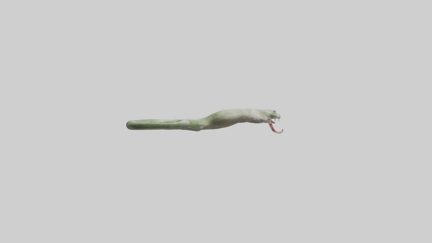 Snake Tongue Model 3D model
