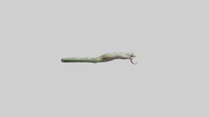 Snake Tongue Model 3D model