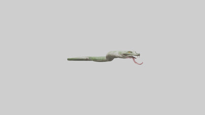 Snake Tongue Model 3D model