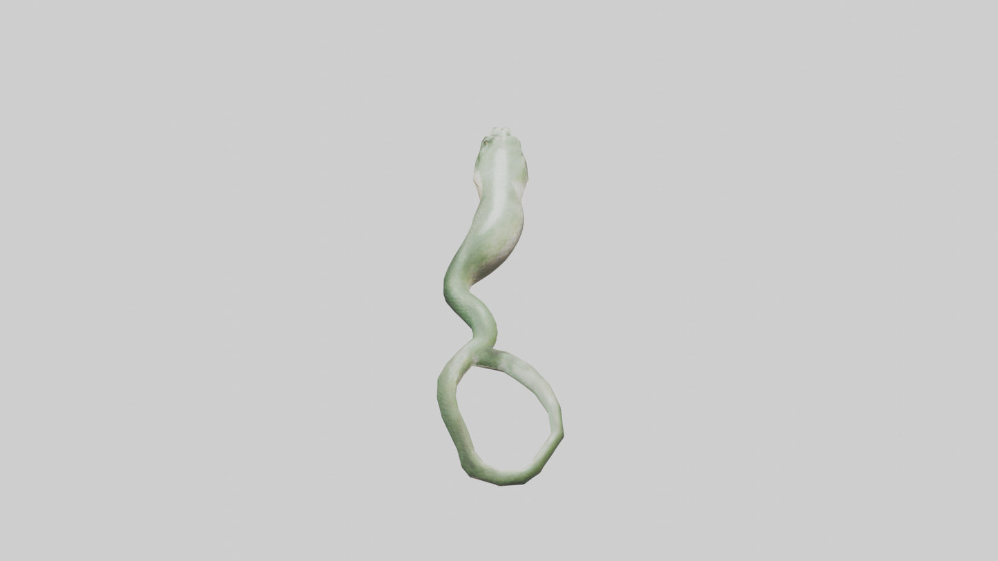 Snake Tongue Model 3D model