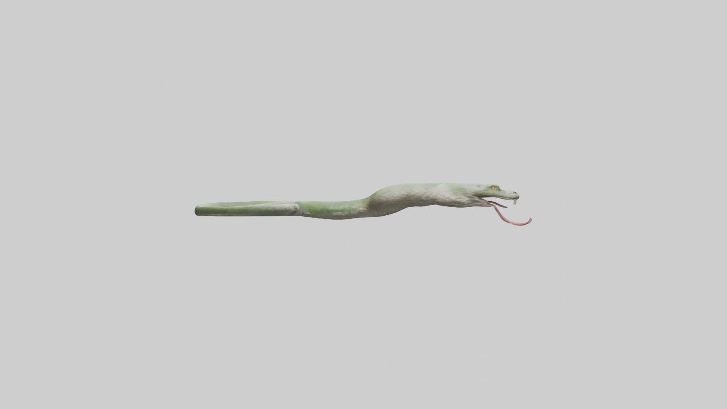 Snake Tongue Model 3D model