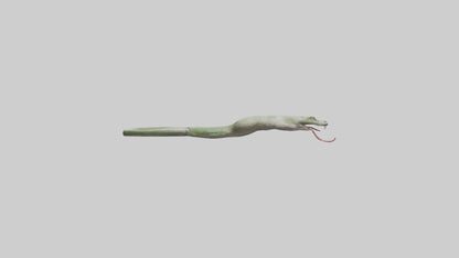 Snake Tongue Model 3D model