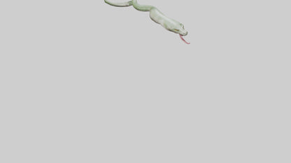Snake Tongue Model 3D model