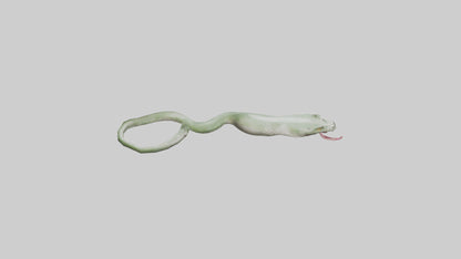 Snake Tongue Model 3D model