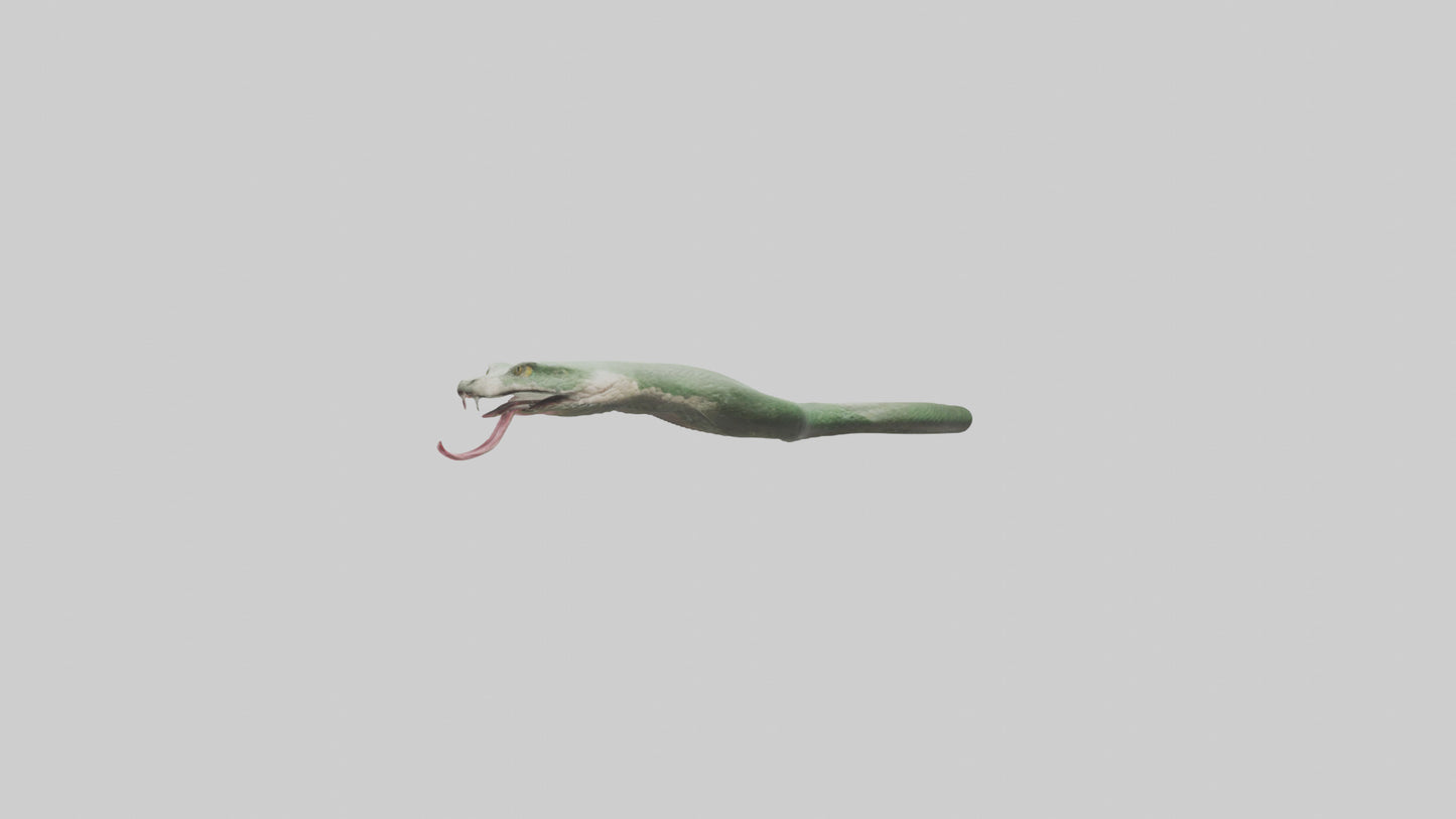 Snake Tongue Model 3D model