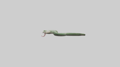 Snake Tongue Model 3D model