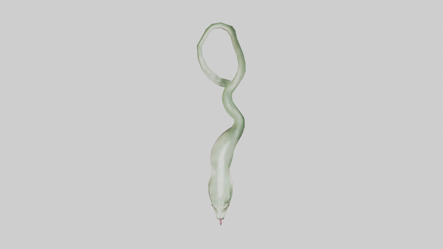 Snake Tongue Model 3D model